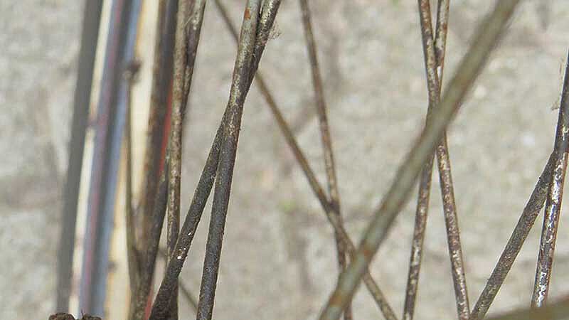 image-88